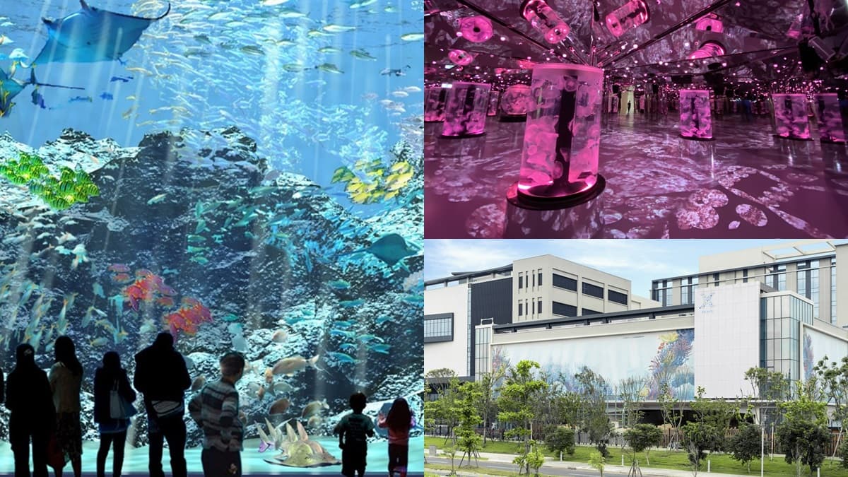 超夯水族館「這裡」每天都有票！專屬場次爽逛Xpark「保證有票」