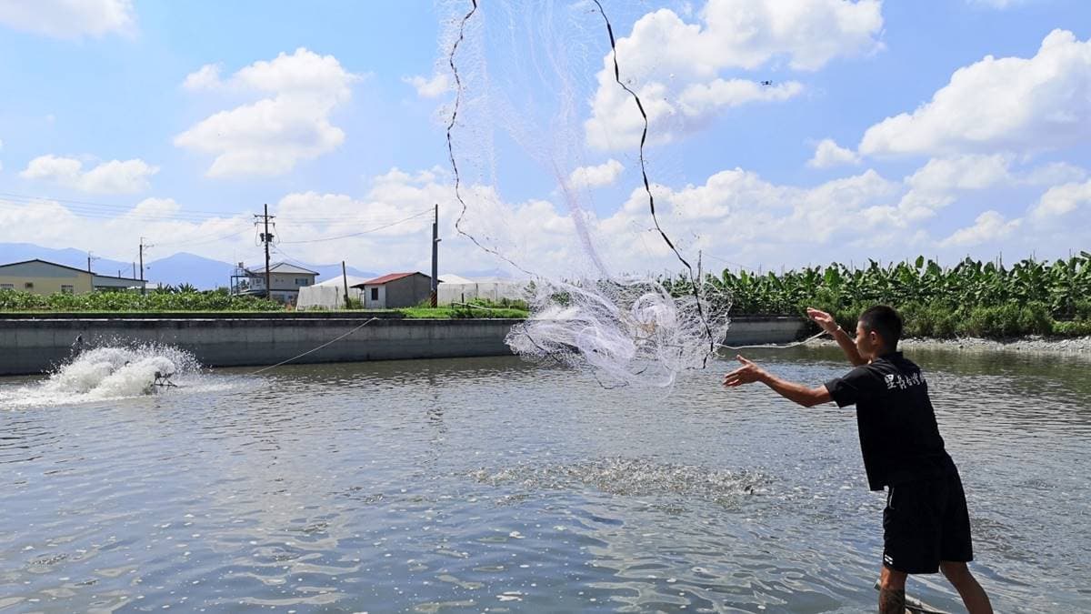 【食尚首播】魚塭就在餐廳旁!高雄最「青」台灣鯛主打現撈現煮,必吃好運敲敲魚 【食尚首播】魚塭就在餐廳旁!高雄最「青」台灣鯛主打現撈現煮,必吃好運敲敲魚