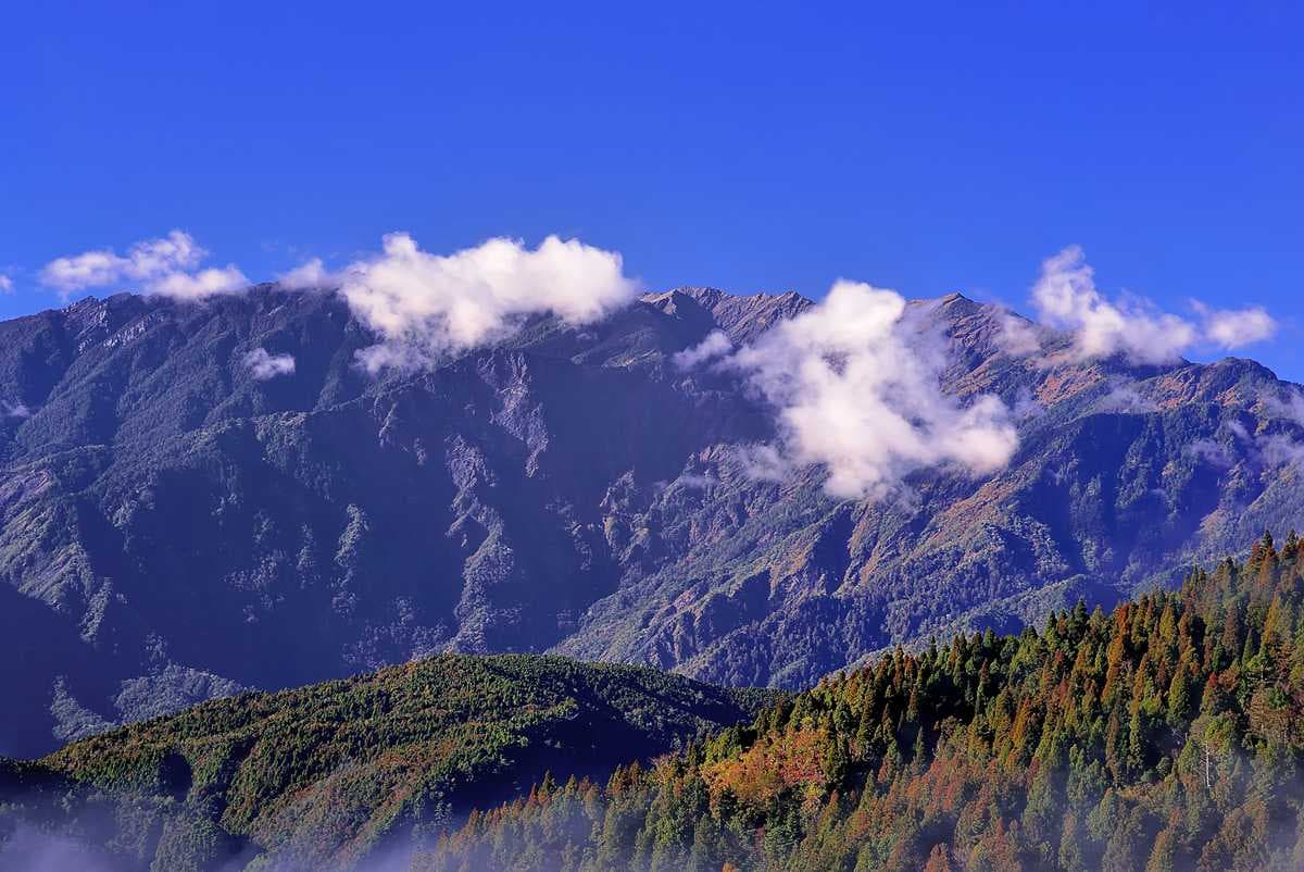 不開車也能玩遍「太平山」最美仙境！翠峰湖接駁2人就成行，還能免費入園