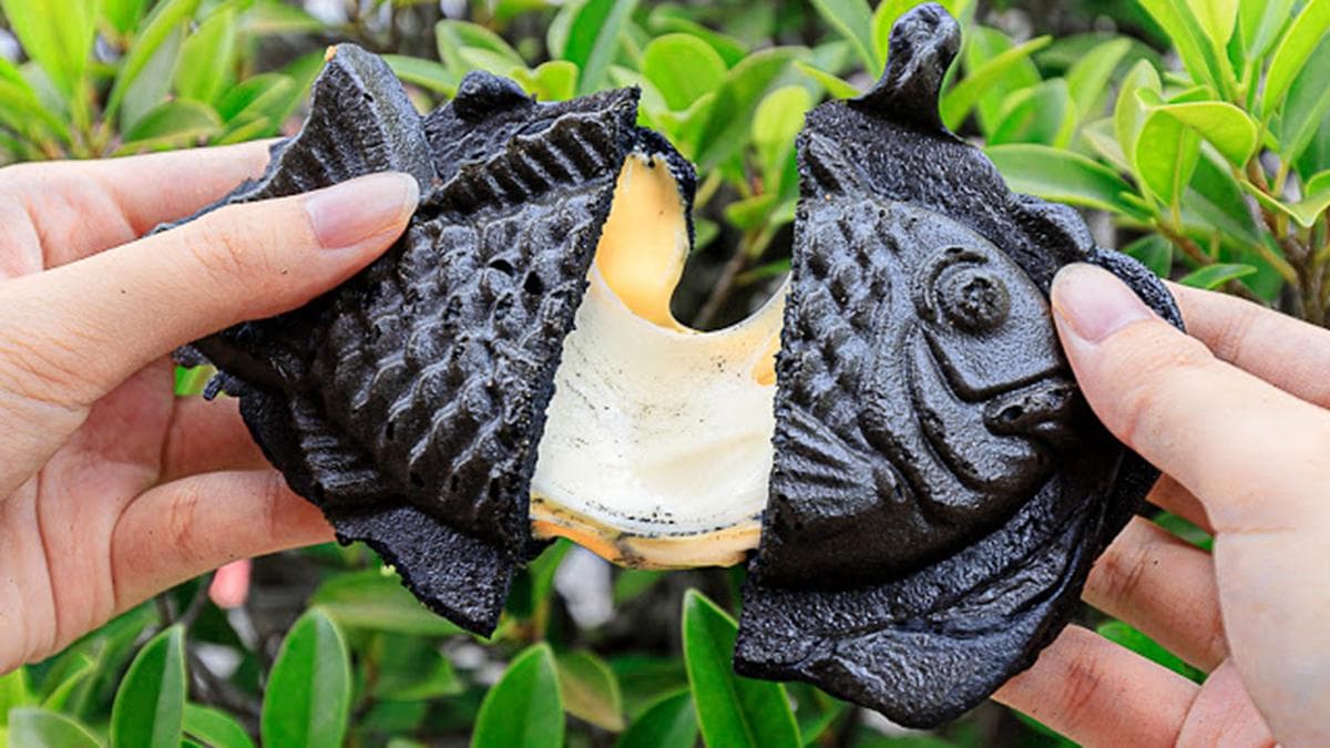 「台灣鯛黑心商品」買一送一！黑嚕嚕鯛魚燒包OREO、芋泥黑糖麻糬必吃