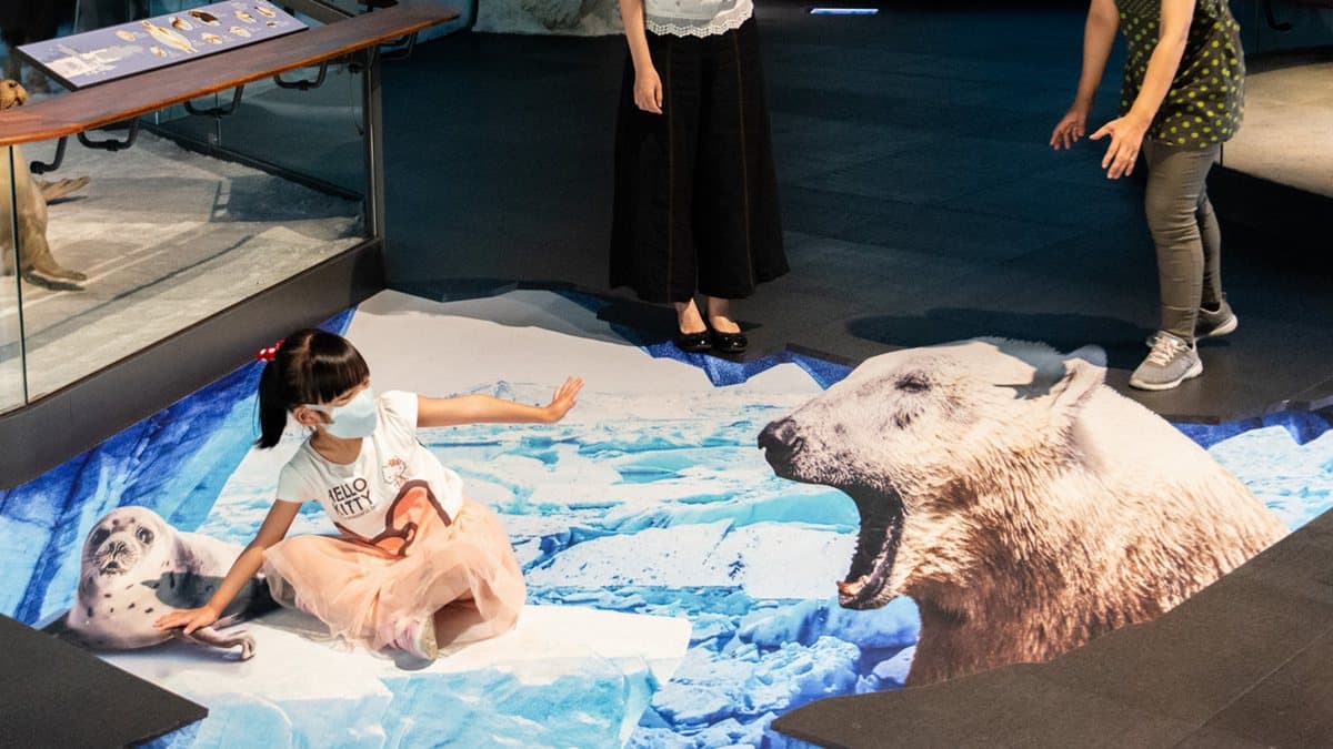 要救海豹嗎？奇美博物館最新「3D立體地景」北極熊、鱷魚超逼真