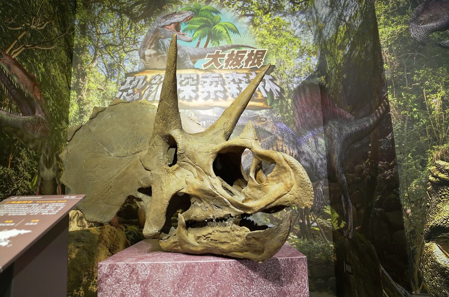 恐龍出沒森林．營造「侏儸紀公園」氛圍 「大板根．恐龍探索森林」特展 好評再加碼延長至11/1 不要再錯過！