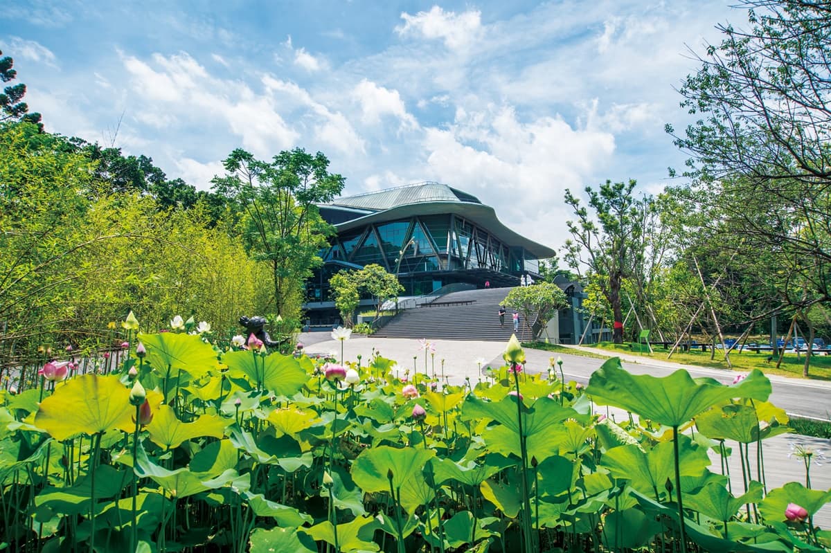 全球唯二！「打開台北」限時48小時，免費瘋玩50個私密景點