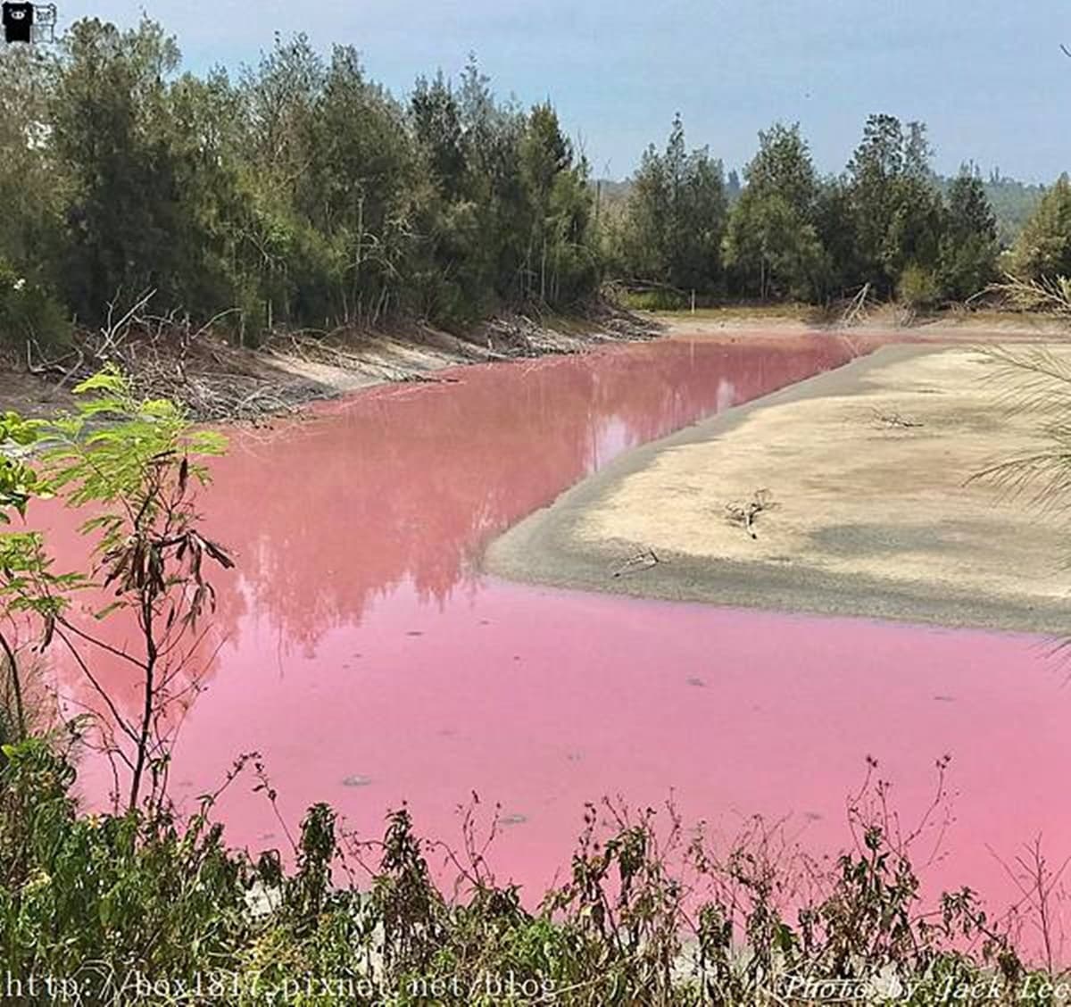 全台唯一「草莓牛奶湖」這裡拍！還有翠綠、粉白整套「上帝調色盤」必打卡