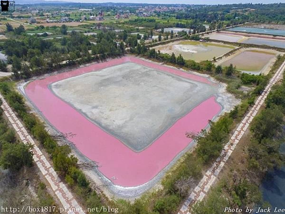全台唯一「草莓牛奶湖」這裡拍！還有翠綠、粉白整套「上帝調色盤」必打卡