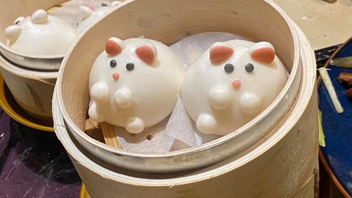 【新開店】淡水隱藏版道地老港味！粵菜國宴主廚+復刻茶餐廳裝潢，這身分打卡再9折
