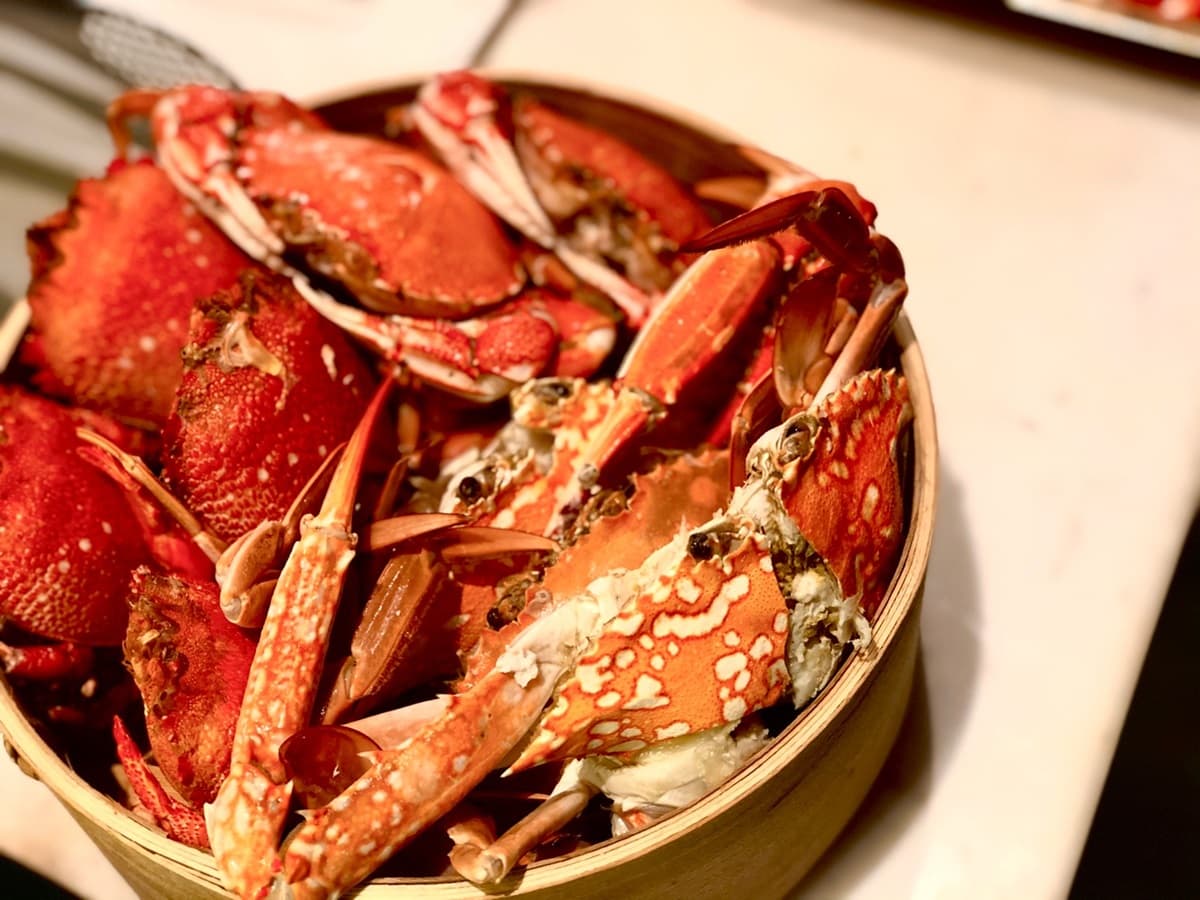 超狂2大飯店「螃蟹吃到飽」！整隻大閘蟹「免費加菜」，帝王蟹、海膽、蟹肉馬卡龍都有