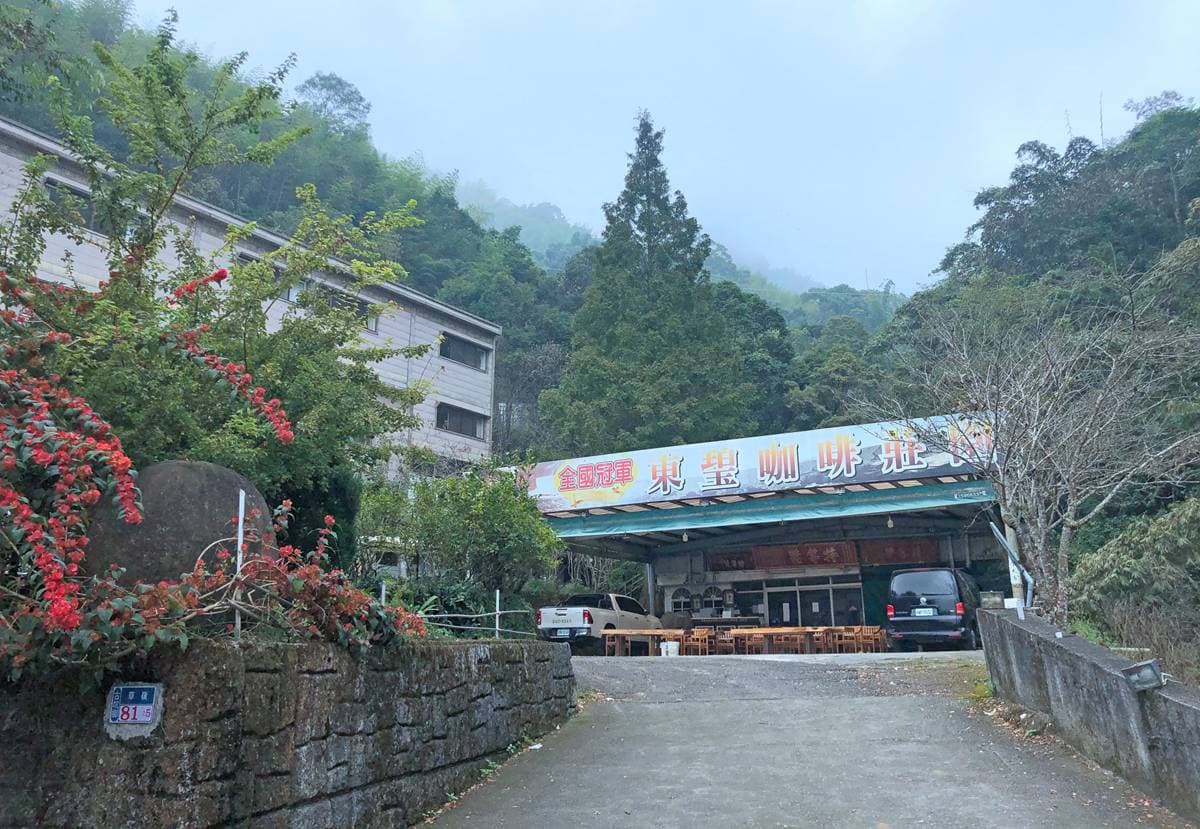 雲林祕境木屋住一晚！夢幻雲海+銀河伴你入眠，還能吃私房菜「咖啡」過貓