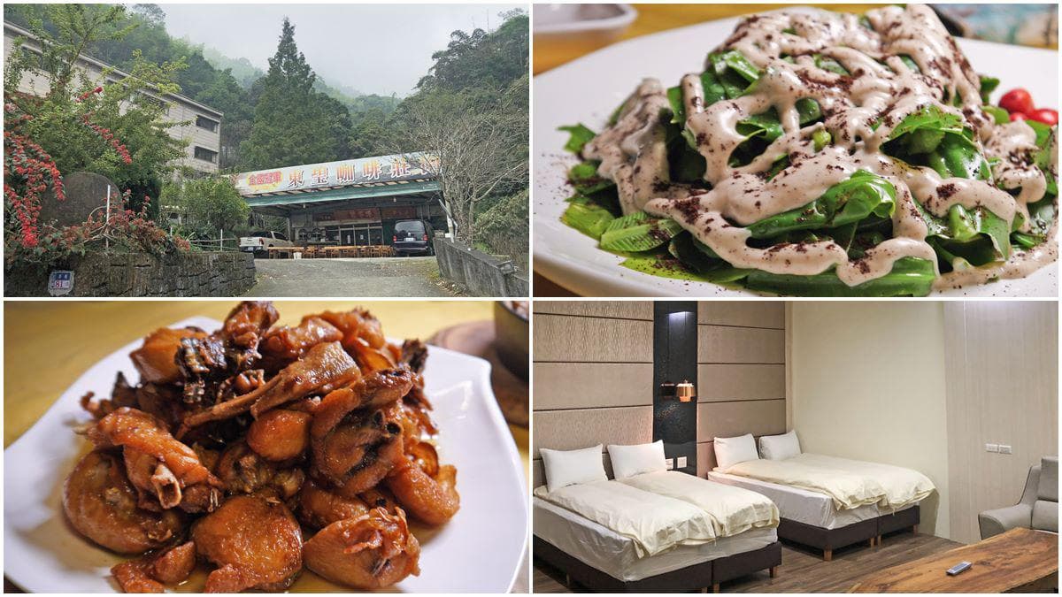 雲林祕境木屋住一晚！夢幻雲海+銀河伴你入眠，還能吃私房菜「咖啡」過貓