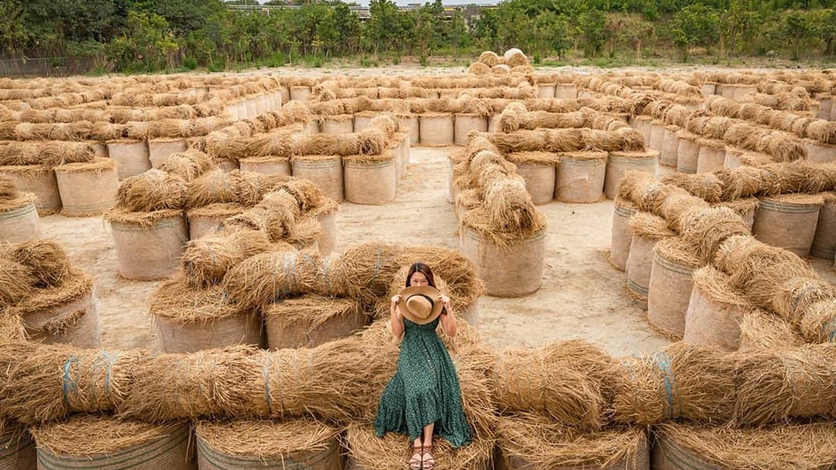最萌祕境！闖全台最大「600捲稻草迷宮」，還能玩滾草球、看表演、吃滷肉飯