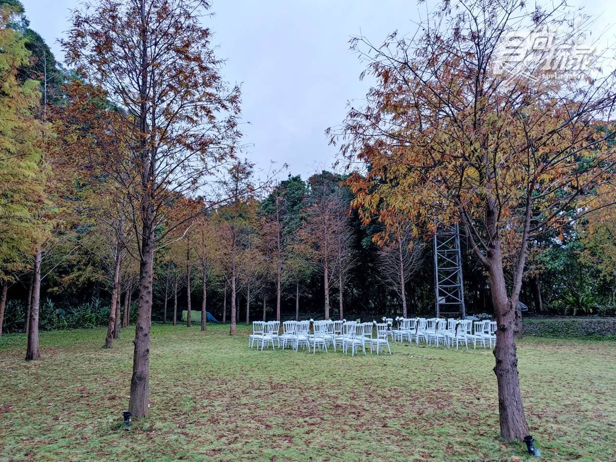 1秒飛歐洲!台北景觀餐廳美拍「3000坪落羽松」,還能在純白教堂池畔嗑超霸氣龍蝦鍋 1秒飛歐洲!台北景觀餐廳美拍「3000坪落羽松」,還能在純白教堂池畔嗑超霸氣龍蝦鍋