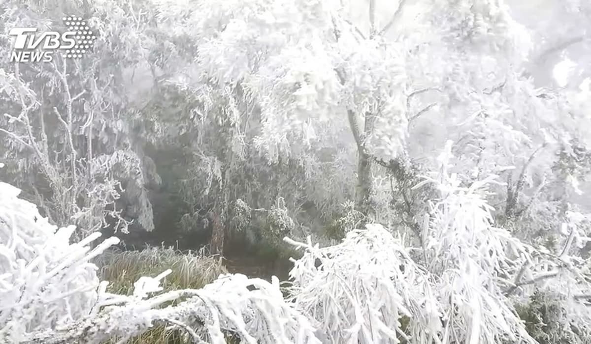 追雪族注意！宜蘭「太平山」下探0度急凍，1/7起至1/10這時管制入園