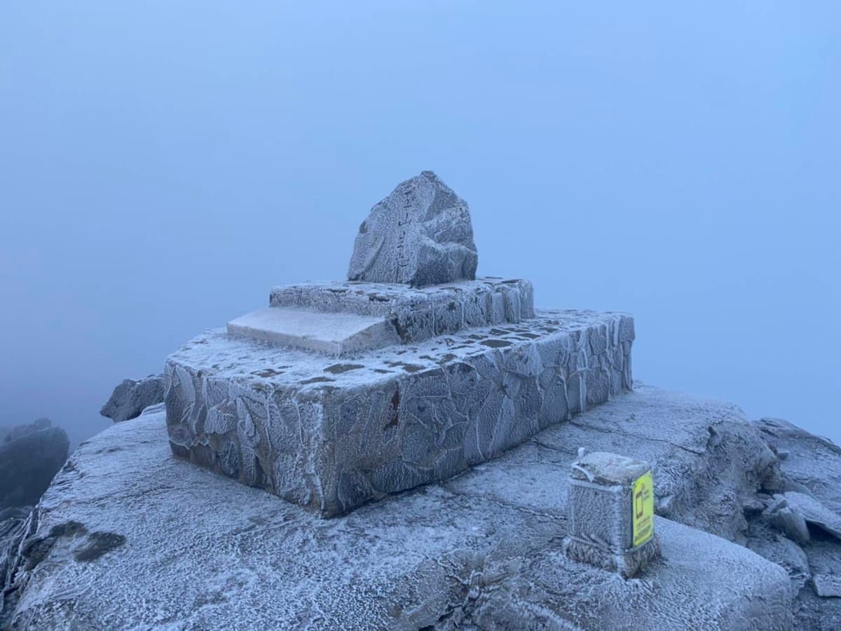 -6.7度銀白世界！玉山出現夢幻「霧淞步道」，最冷寒流登山需注意
