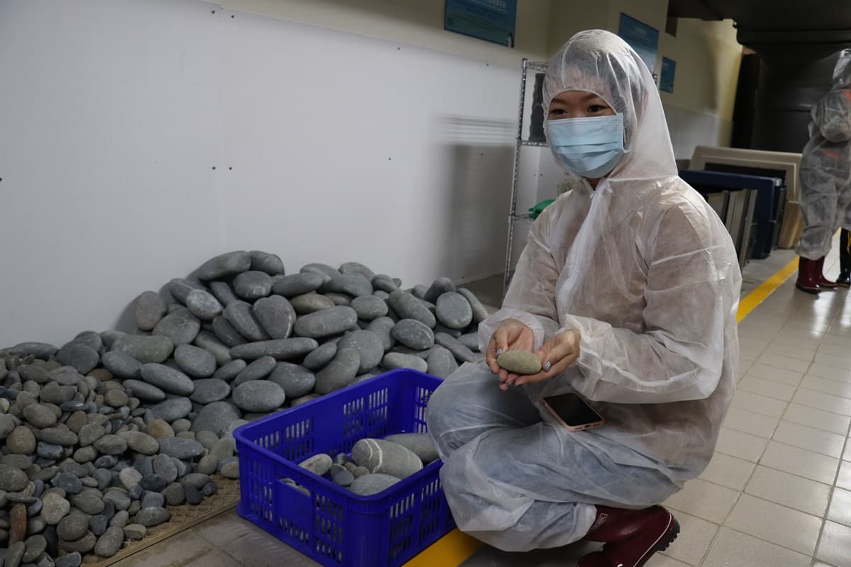 餵鹿、餵馬都輸了!全台首次「企鵝餵食體驗」這天開賣,能看企鵝孵蛋設備、專人幫你拍照 餵鹿、餵馬都輸了!全台首次「企鵝餵食體驗」這天開賣,能看企鵝孵蛋設備、專人幫你拍照
