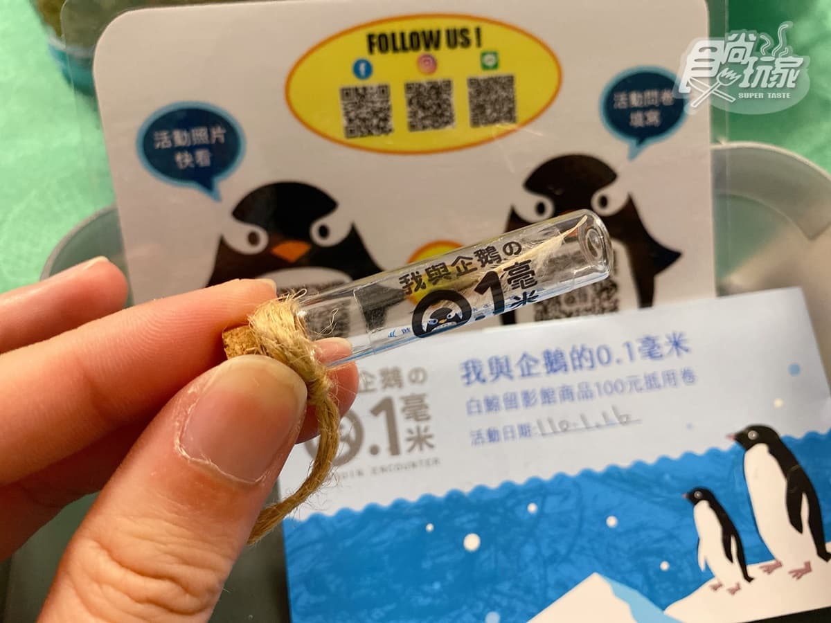 腳邊都是企鵝！全台首次「餵企鵝體驗」開賣，一次看到4大品種、近100隻企鵝給你餵