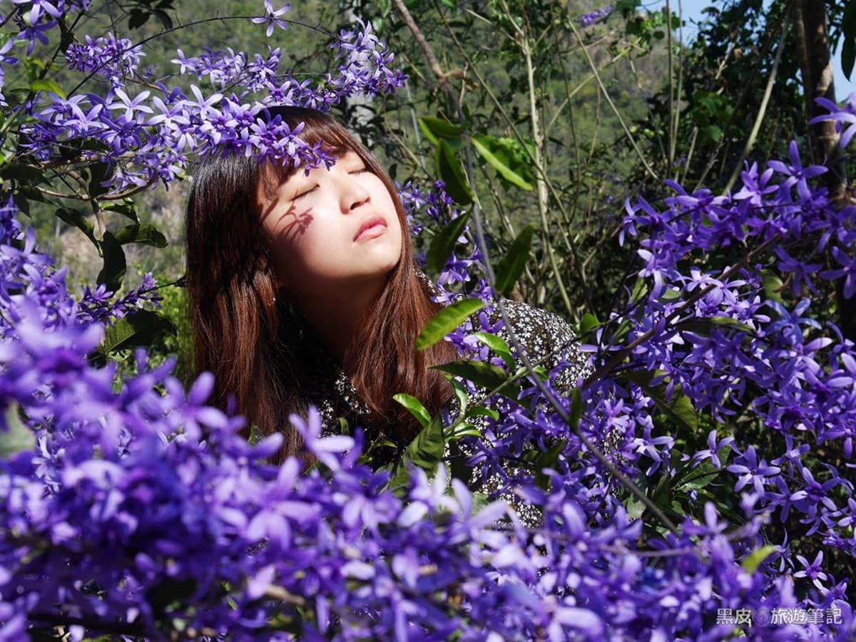 這裡拍「冬季版紫藤花」打卡祕境!抓對角度還能拍出《鬼滅之刃》經典場景 這裡拍「冬季版紫藤花」打卡祕境!抓對角度還能拍出《鬼滅之刃》經典場景