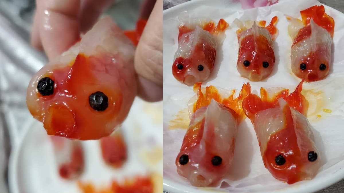 你敢吃嗎?IG夯爆超逼真「金魚水晶餃」,網友直呼不敢吃下肚