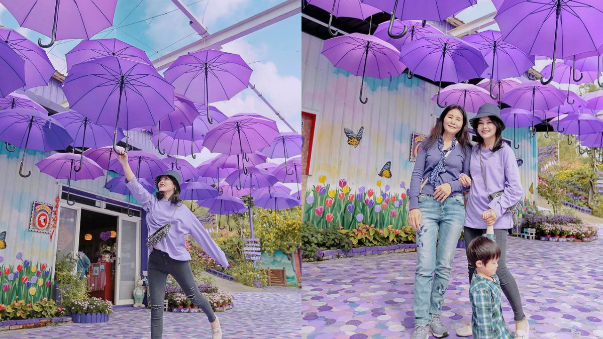 漫步紫色仙境!噢哈娜咖啡屋「紫藤花步道」太夢幻,紫色花傘、波波草超好拍 漫步紫色仙境!噢哈娜咖啡屋「紫藤花步道」太夢幻,紫色花傘、波波草超好拍