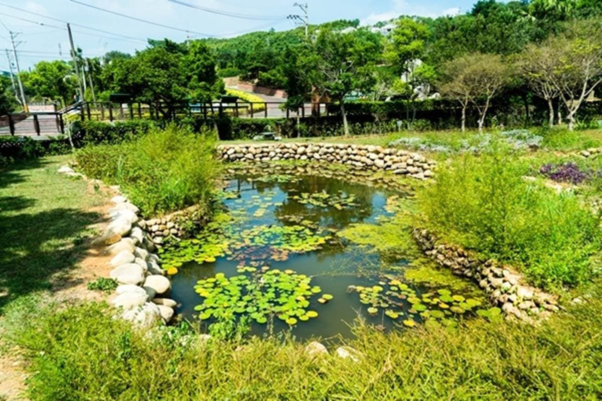 整座農村都是遊樂場！大北坑社區親子遊4打卡點：茶樹迷宮、麻糬DIY、美人茶餐