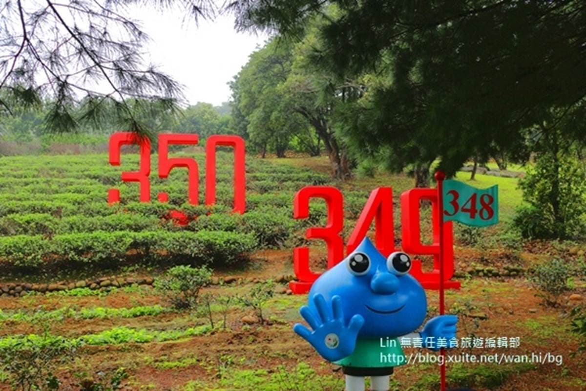 整座農村都是遊樂場！大北坑社區親子遊4打卡點：茶樹迷宮、麻糬DIY、美人茶餐