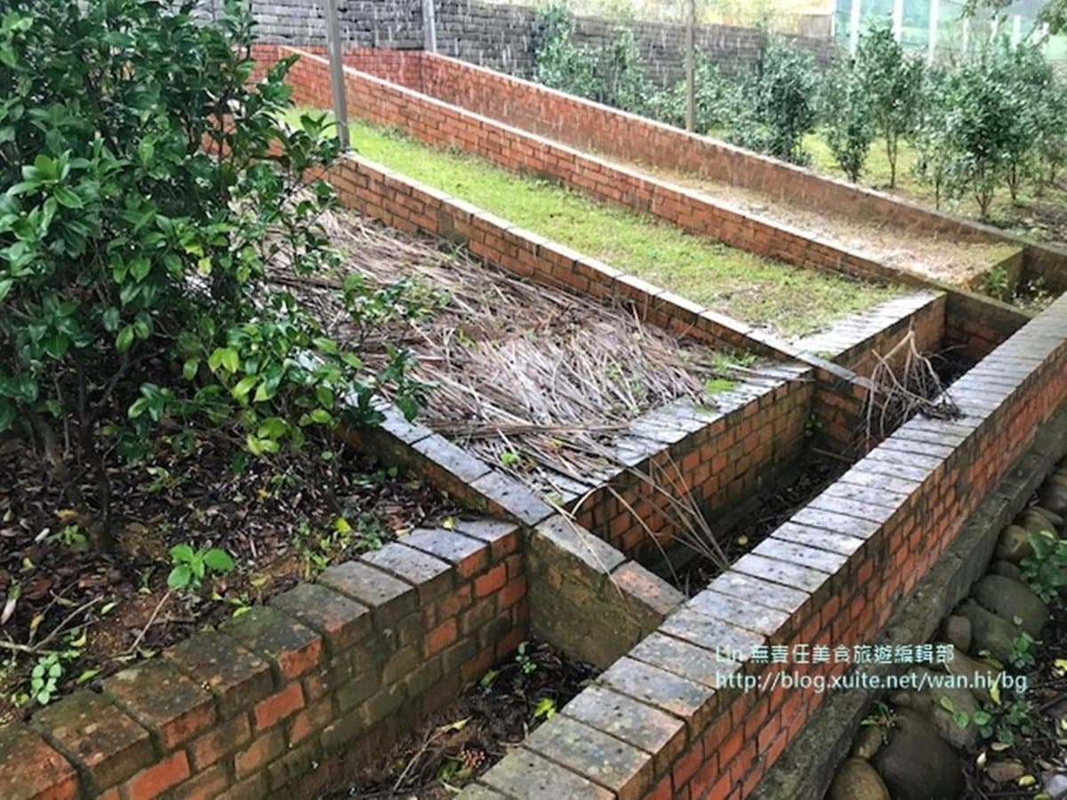 整座農村都是遊樂場！大北坑社區親子遊4打卡點：茶樹迷宮、麻糬DIY、美人茶餐