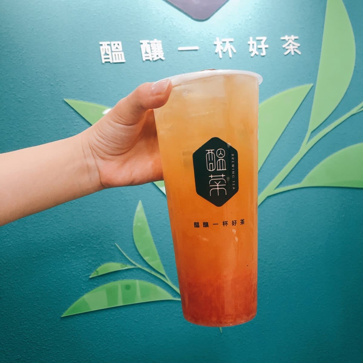 好喝不踩雷！板橋手搖飲7款招牌評鑑，「這杯」要給它5顆心