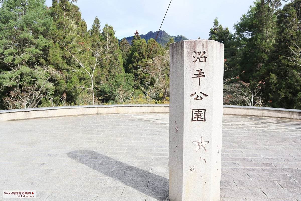 阿里山親子遊提案!搭火車看日出美景,沿途逛山椒魚館、森林天空步道 阿里山親子遊提案!搭火車看日出美景,沿途逛山椒魚館、森林天空步道