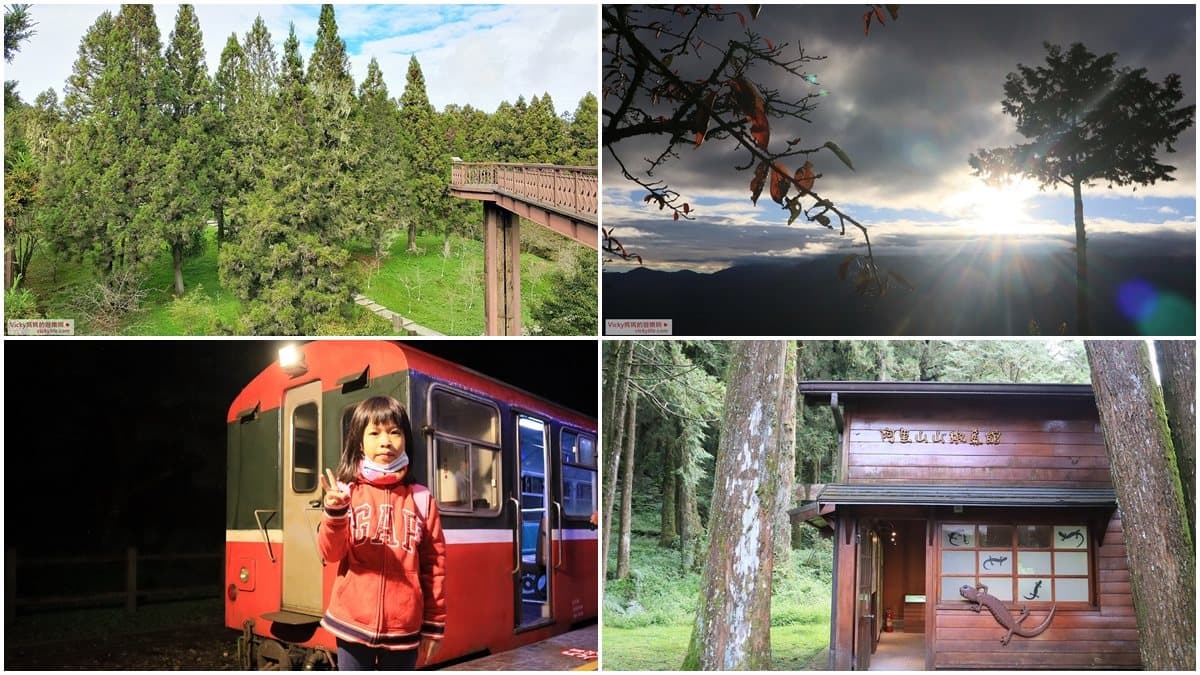 阿里山親子遊提案!搭火車看日出美景,沿途逛山椒魚館、森林天空步道