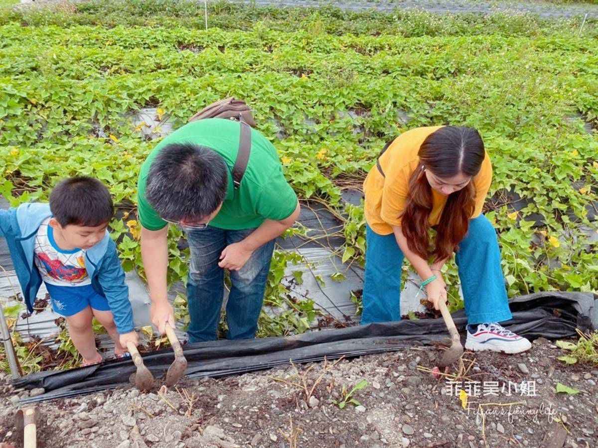 小朋友瘋了！宜蘭親子農場體驗挖地瓜、餵動物，還能吃有機蔬果餐、住特色涵管屋