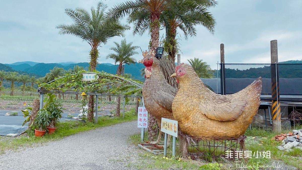 小朋友瘋了！宜蘭親子農場體驗挖地瓜、餵動物，還能吃有機蔬果餐、住特色涵管屋