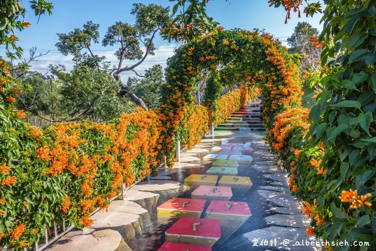 炮仗花都開好了！鶯歌公園3D彩繪階梯處處有驚喜，小孩瘋玩超高溜滑梯