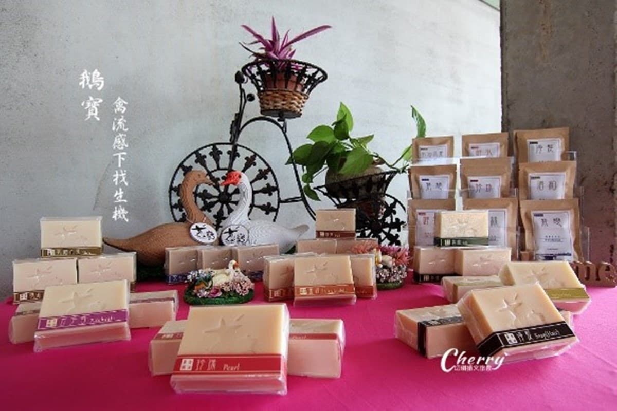 雲林土庫１日遊８亮點：60年鴨肉麵線、有機農場挖蘆筍、70年鐘錶咖啡店