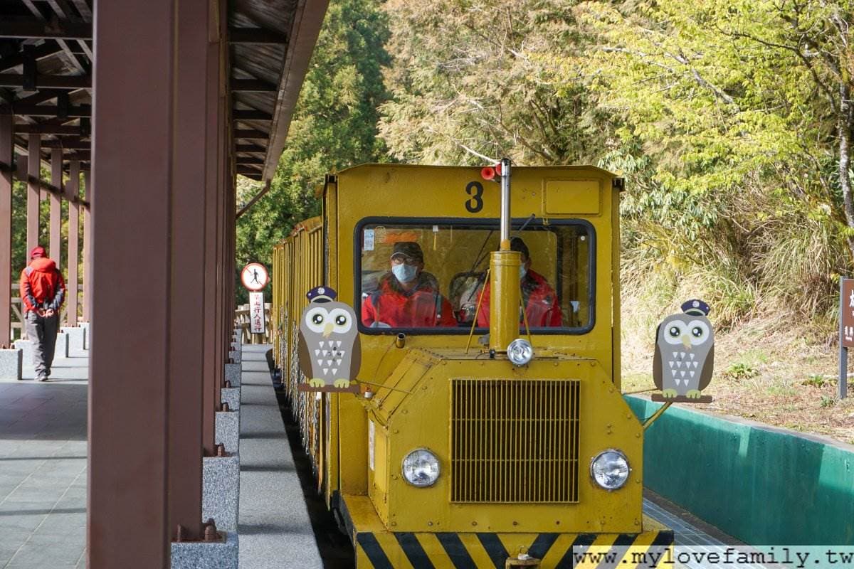森林浴+溫泉浴雙享受!搭蹦蹦車美拍宜蘭太平山,順路喝雲海咖啡、泡仙氣美人湯 森林浴+溫泉浴雙享受!搭蹦蹦車美拍宜蘭太平山,順路喝雲海咖啡、泡仙氣美人湯