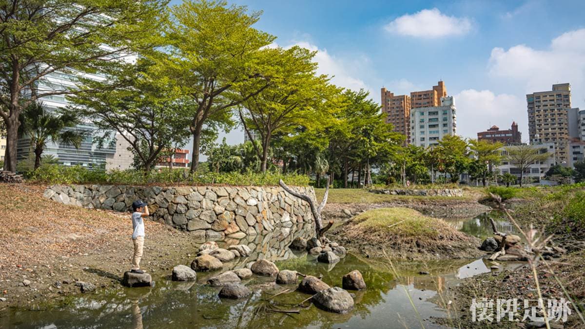 台南市中心最美生態公園！賞白鷺鷥群、談情說愛樹，順路玩親子最愛親水廣場