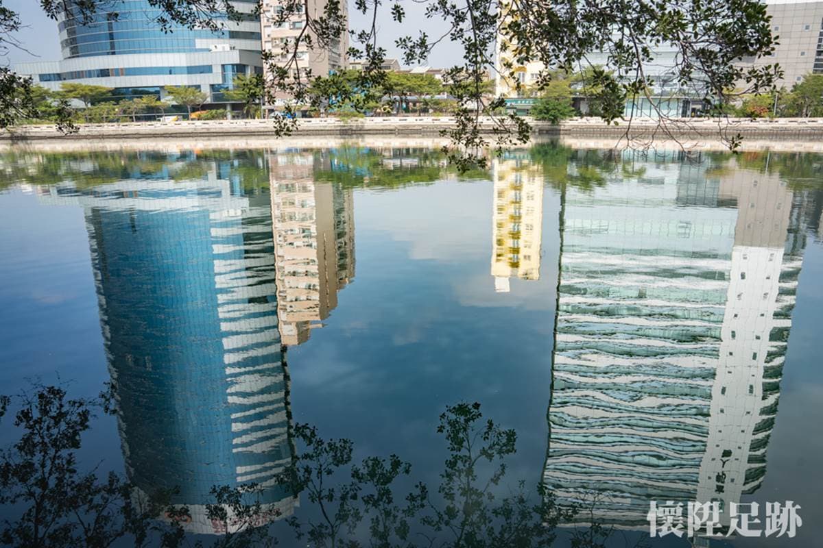 台南市中心最美生態公園！賞白鷺鷥群、談情說愛樹，順路玩親子最愛親水廣場