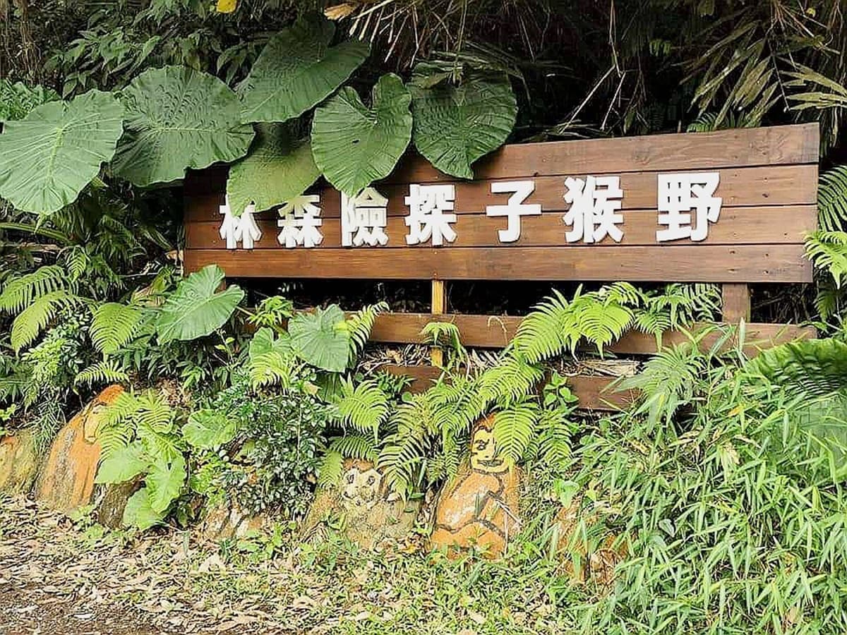 5到65歲都玩嗨!全台唯一「探險樂園」挑戰高塔跳躍、滑索,當1日森林泰山 5到65歲都玩嗨!全台唯一「探險樂園」挑戰高塔跳躍、滑索,當1日森林泰山
