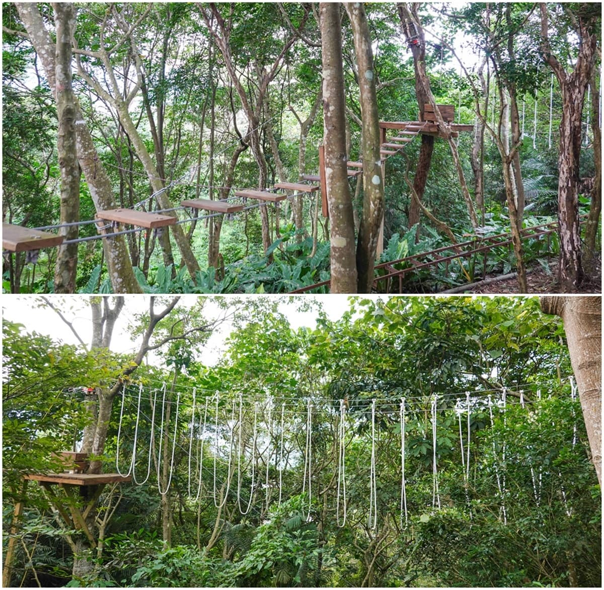 5到65歲都玩嗨!全台唯一「探險樂園」挑戰高塔跳躍、滑索,當1日森林泰山 5到65歲都玩嗨!全台唯一「探險樂園」挑戰高塔跳躍、滑索,當1日森林泰山