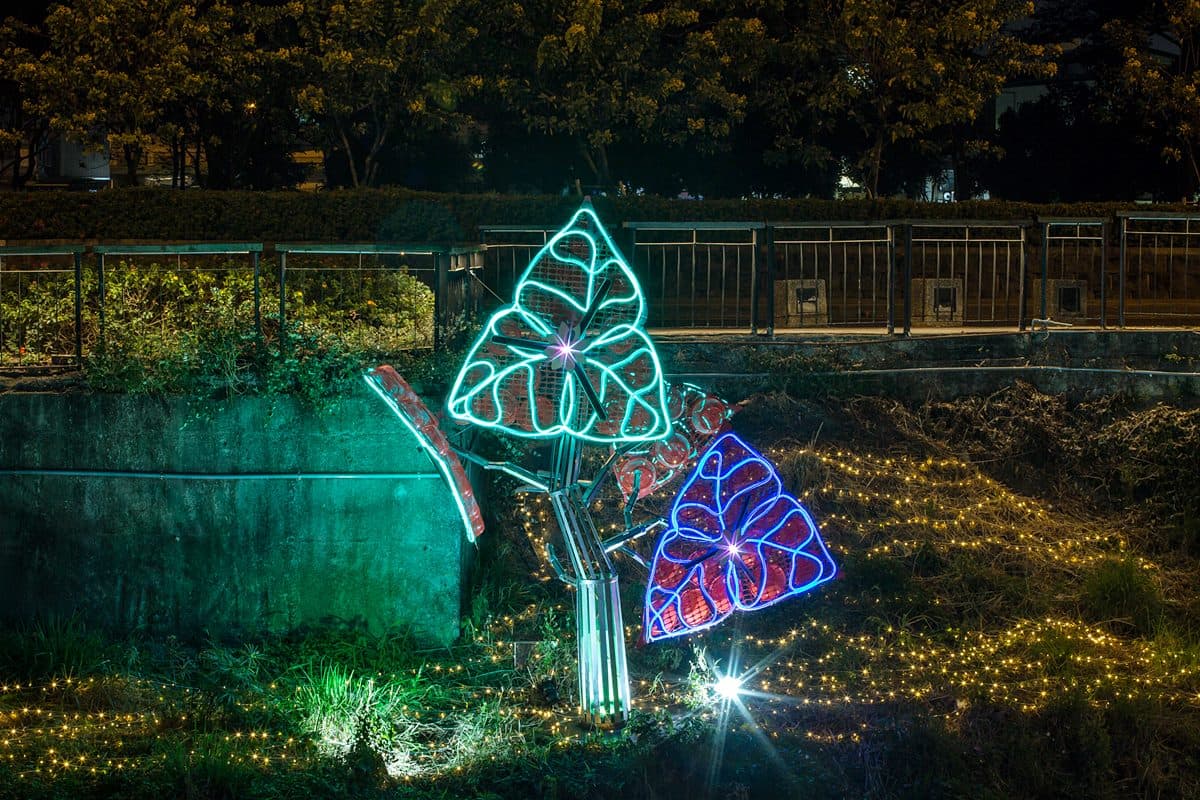 屏東溪畔「繁花綻放」超好拍!2021綵燈節打造20組奇幻花卉點亮萬年溪 屏東溪畔「繁花綻放」超好拍!2021綵燈節打造20組奇幻花卉點亮萬年溪