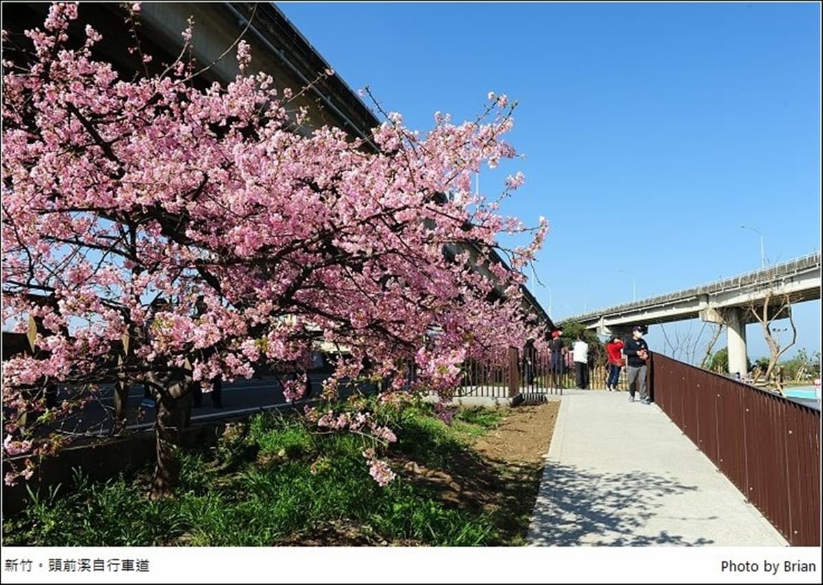 遛小孩也能當網美!新竹河濱公園打卡櫻花自行車道,還能免費玩全新滑步車場 遛小孩也能當網美!新竹河濱公園打卡櫻花自行車道,還能免費玩全新滑步車場