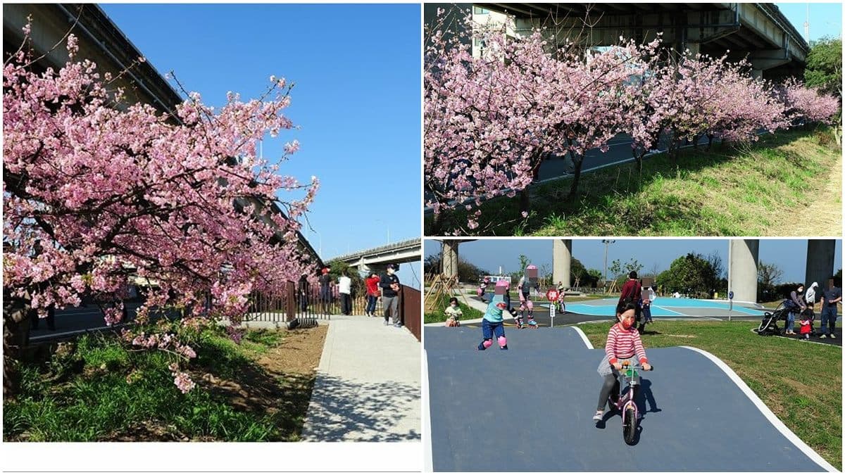 遛小孩也能當網美！新竹河濱公園打卡櫻花自行車道，還能免費玩全新滑步車場