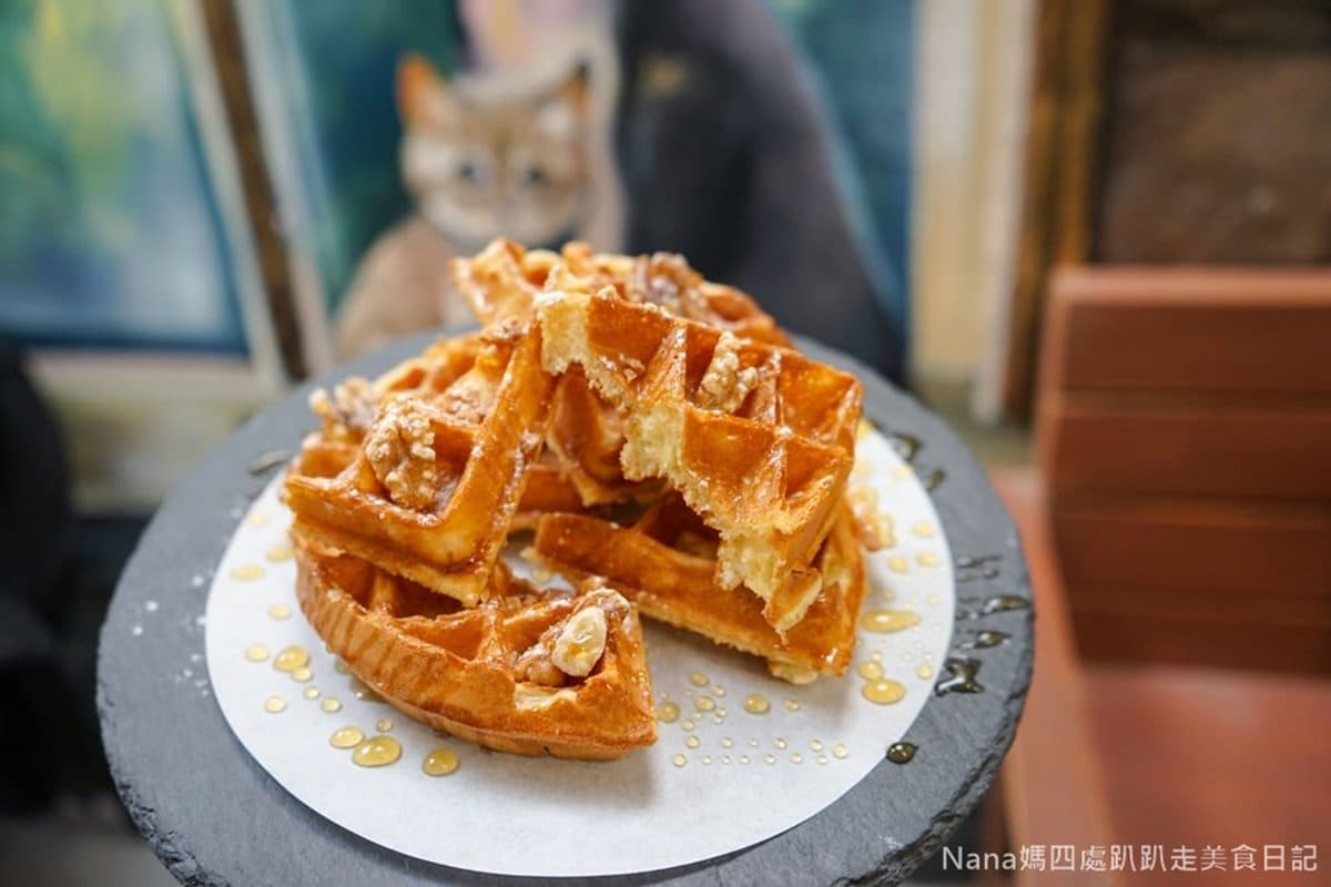 店貓陪吃下午茶！隱藏版咖啡館美得像森林，香濃「蜂蜜核桃鬆餅」貓咪也喜歡