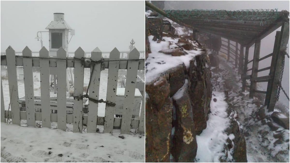 賞雪族注意！玉山氣溫驟降飄「三月雪」，氣象局指9日前還有機會降雪