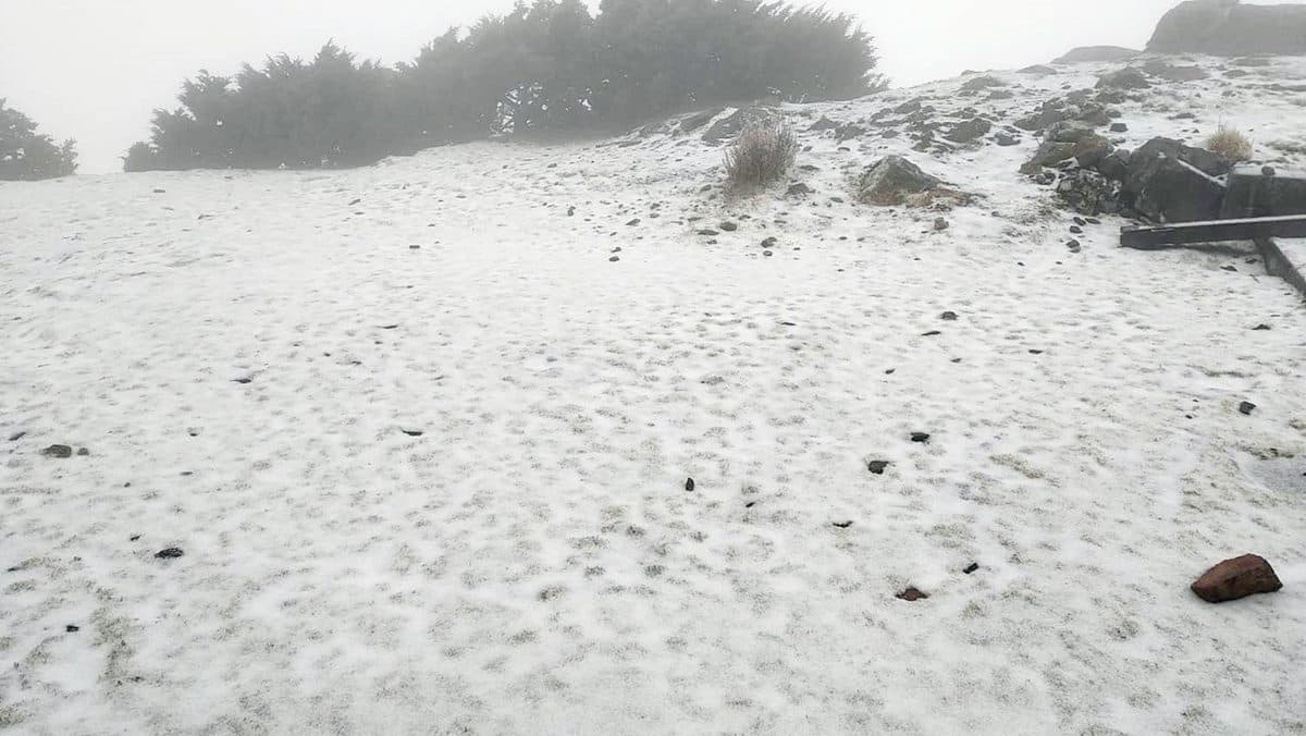 賞雪族注意！玉山氣溫驟降飄「三月雪」，氣象局指9日前還有機會降雪