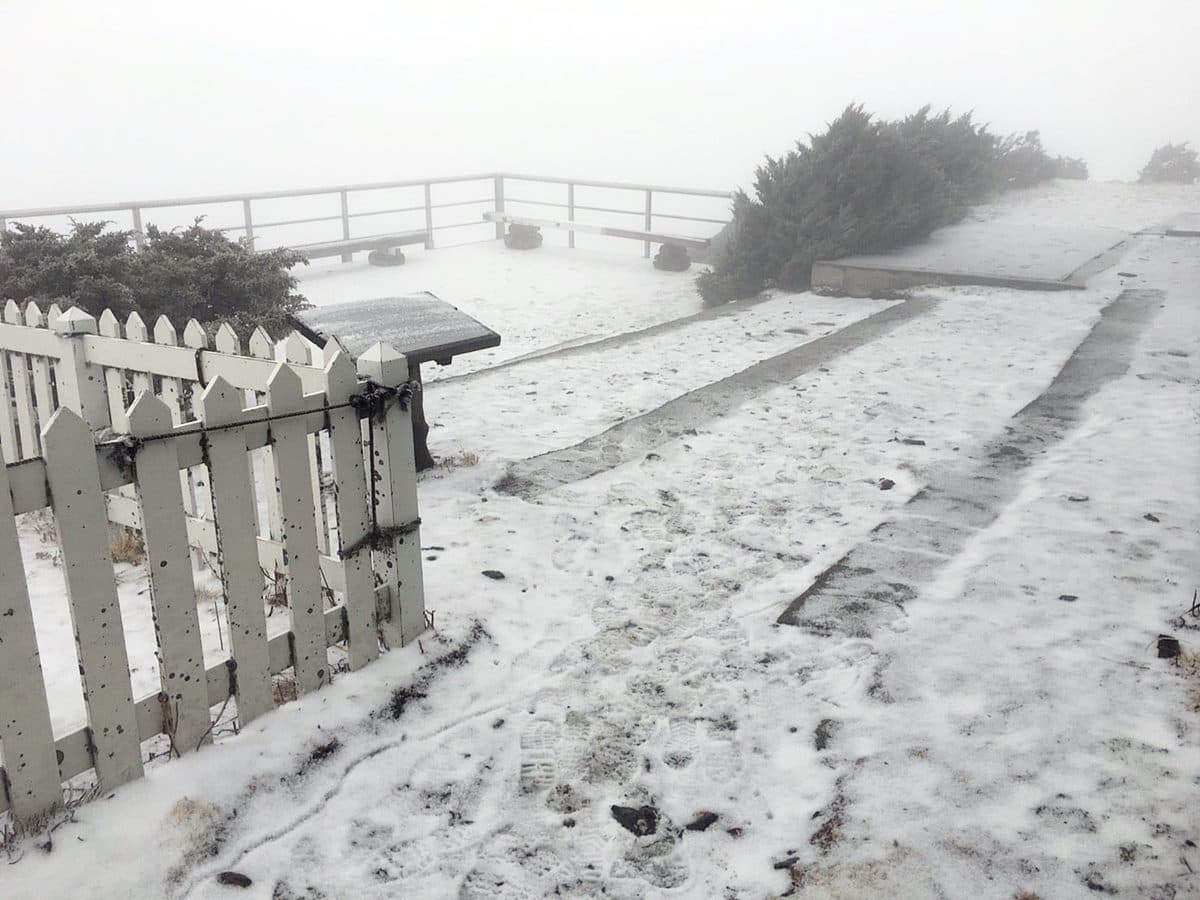賞雪族注意！玉山氣溫驟降飄「三月雪」，氣象局指9日前還有機會降雪