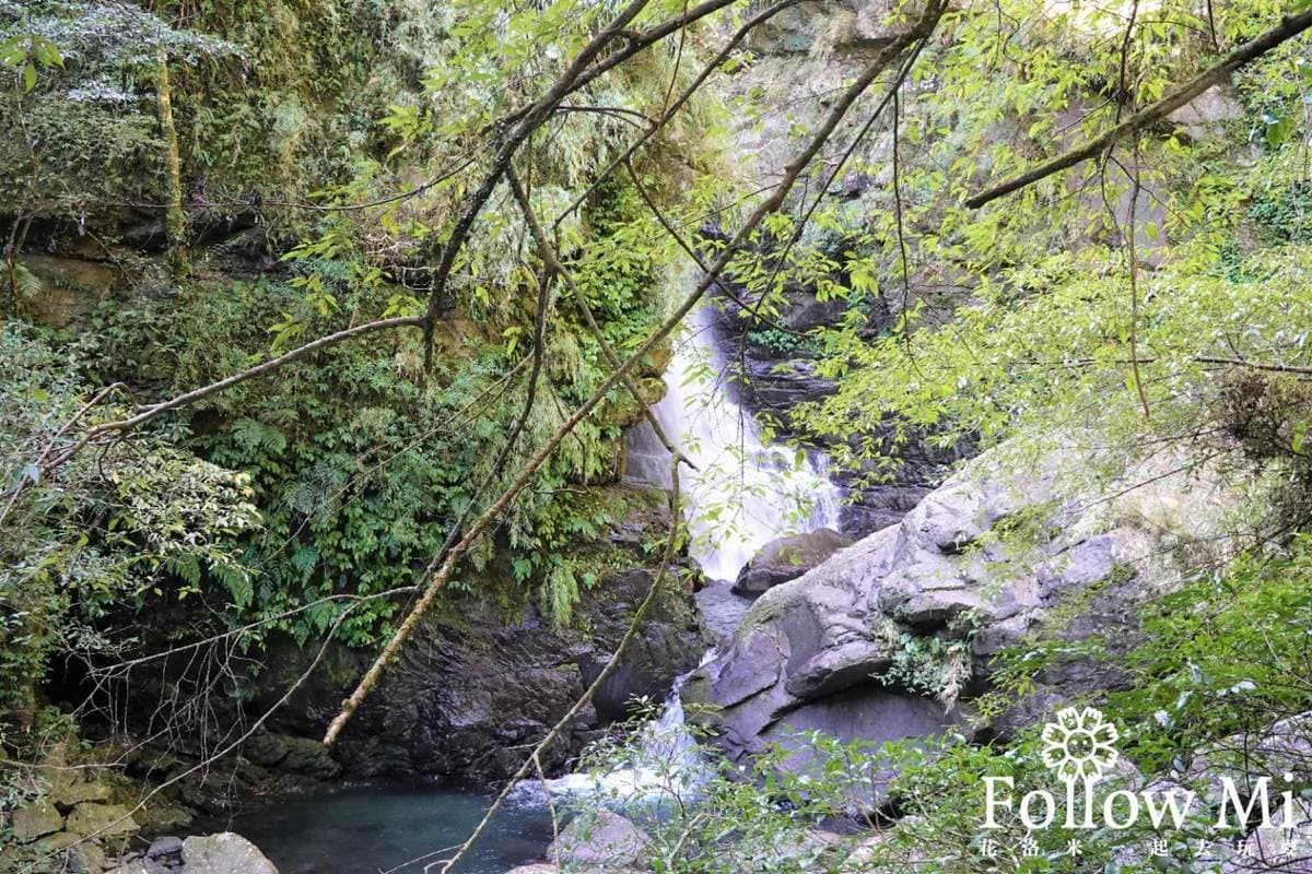 大口吸芬多精！三峽森林遊樂園區能賞瀑布、看鳥明星，還有３大室內館區玩不膩