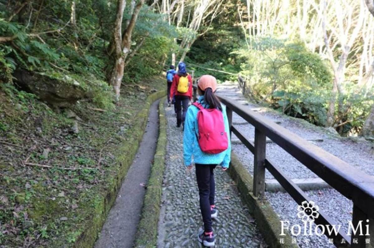 大口吸芬多精！三峽森林遊樂園區能賞瀑布、看鳥明星，還有３大室內館區玩不膩