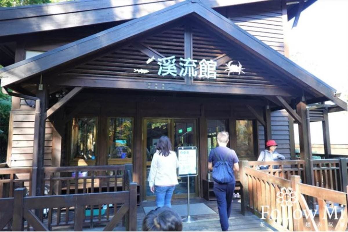 大口吸芬多精！三峽森林遊樂園區能賞瀑布、看鳥明星，還有３大室內館區玩不膩