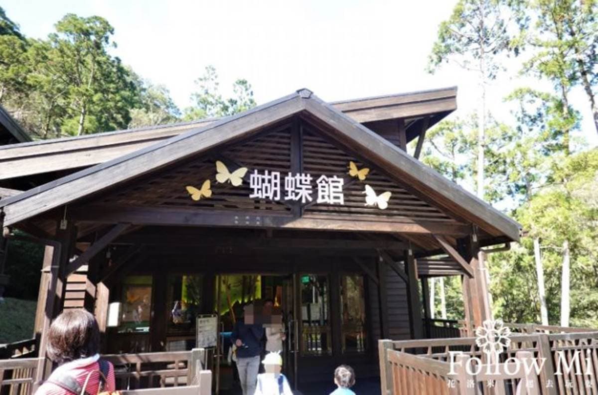 大口吸芬多精！三峽森林遊樂園區能賞瀑布、看鳥明星，還有３大室內館區玩不膩