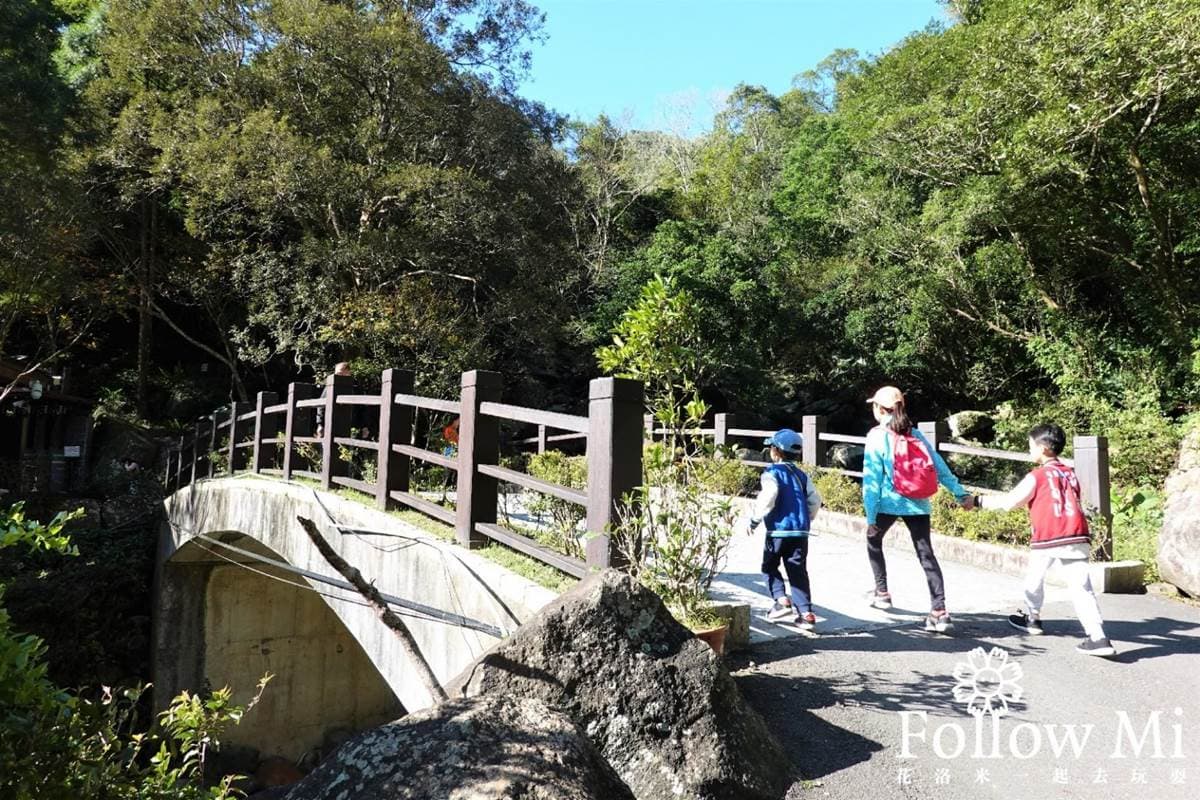 大口吸芬多精！三峽森林遊樂園區能賞瀑布、看鳥明星，還有３大室內館區玩不膩