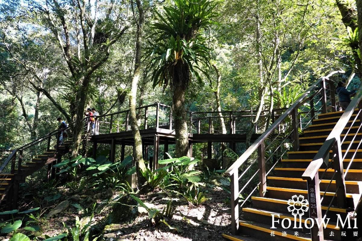 大口吸芬多精！三峽森林遊樂園區能賞瀑布、看鳥明星，還有３大室內館區玩不膩